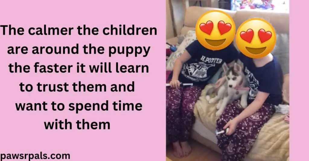 The calmer the children are around the puppy the faster it will learn to trust them and want to spend time with them. Pink background. Image 2 young girls sitting on a cream sofa wearing harry potter pjs with a grey and white siberian husky puppy sitting in the middle wearing a pink collar, all facing the camera