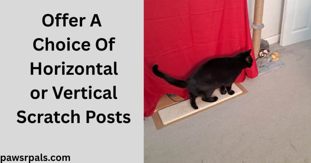 Offer A Choice Of Horizontal or Vertical Scratch Posts. Pickles the black cat standing side on, on a horizontal cream rope scratch post, next to a vertical cylinder rope scratch post with a red background