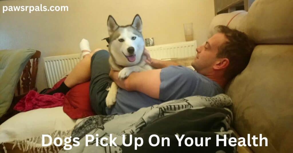 Dogs Pick Up On Your Health. Man lying on a cream sofa with red fluffy blanket and grey quilt, facing away from the camera, bandaged right foot raised on the arm of the sofa, wearing a blue top and blue shorts, with Luna the grey and white siberian husky lying across the mans stomach facing the camera