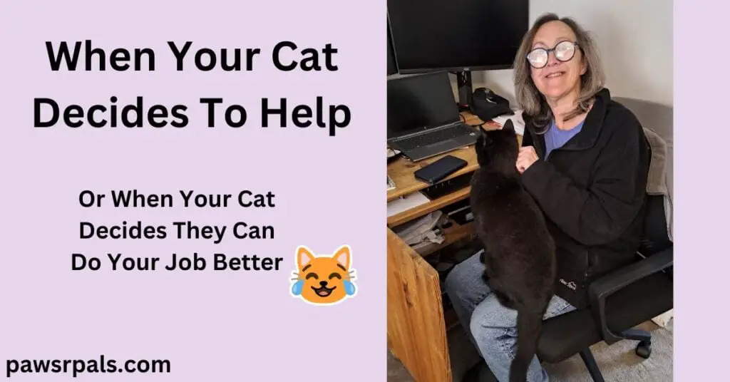 When Your Cat Decides To Help. Or When Your Cat Decides They Can Do Your Job Better. Laughing orange cat emoji. Woman wearing blue glasses, shoulder length brown/grey hair, wearing black fleece over a purple top and blue jeans, sitting on a black office chair. Pickles the black cat sitting on her lap facing the monitor and laptop on a brown wooden desk