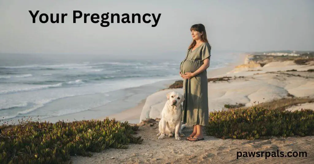 Your Pregnancy. Pregnant woman with long brown hair wearing a green dress standing on a sandy cliff top with the sea behind her, a white dog sat in front of her leaning into her legs