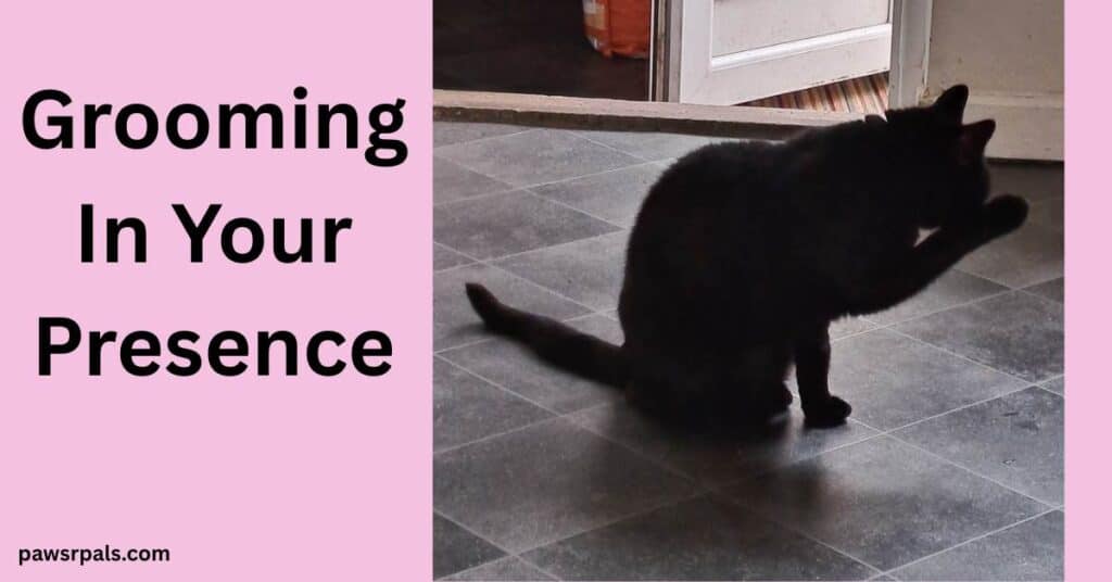 Grooming In Your Presence. Pickles the black cat, sat on grey tiles, facing right, front paw up towards head, licking the paw