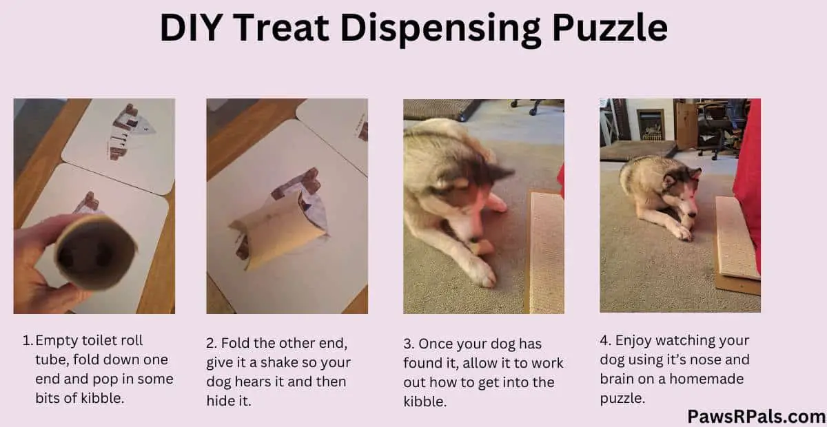 DIY Treat Dispensing Puzzle. Step by step images of a toilet roll cardboard tube, folded with kibble inside, then Luna the grey and white Siberian Husky, opening the tube, lying on a cream carpet next to a rope cat scratcher. Pale pink background